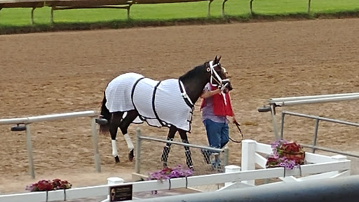 Casino «Finger Lakes Gaming & Racetrack», reviews and photos, 5857 NY-96, Farmington, NY 14425, USA