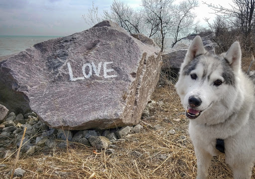 Nature Preserve «Kenosha Sand Dunes», reviews and photos, 7th Ave, Pleasant Prairie, WI 53158, USA