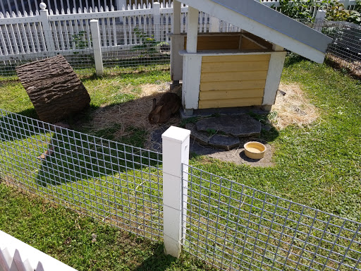 Zoo «Farm In The Zoo», reviews and photos, 1911 N Stockton Dr, Chicago, IL 60614, USA