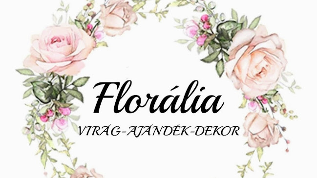 Értékelések erről a helyről: Florália Virágüzlet-Virágbolt-Ajándékbolt, Debrecen - Virágárus
