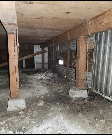 Moat Termite & Pest Control image