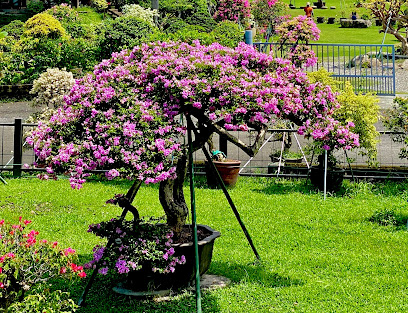 吳媽媽九重葛花園 (請來電預約,入園酌收清潔費）