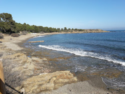 Photo de Platja el Rastell - endroit populaire parmi les connaisseurs de la détente