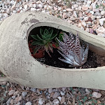 Photo n°8 de l'avis de luca.a fait le 21/08/2023 à 08:17 sur le  Hotel Lampedusa Villaggio Blu & Green à Lampedusa e Linosa