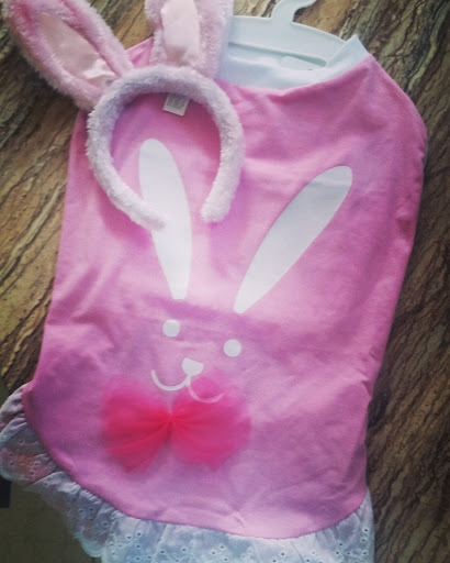 Pet Supply Store «PetSmart», reviews and photos, 650 Commerce Blvd, Scranton, PA 18519, USA