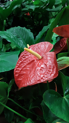 Home Improvement Store «The Home Depot», reviews and photos, 350 N Orchard Ave, Ukiah, CA 95482, USA