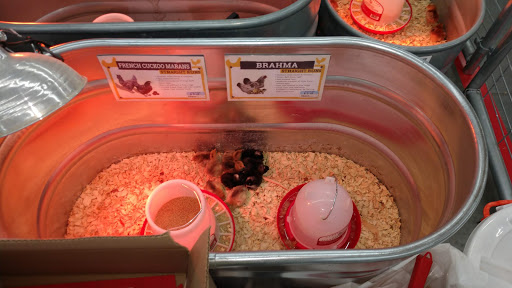 Home Improvement Store «Tractor Supply Co.», reviews and photos, 3400 Moody Pkwy, Moody, AL 35004, USA