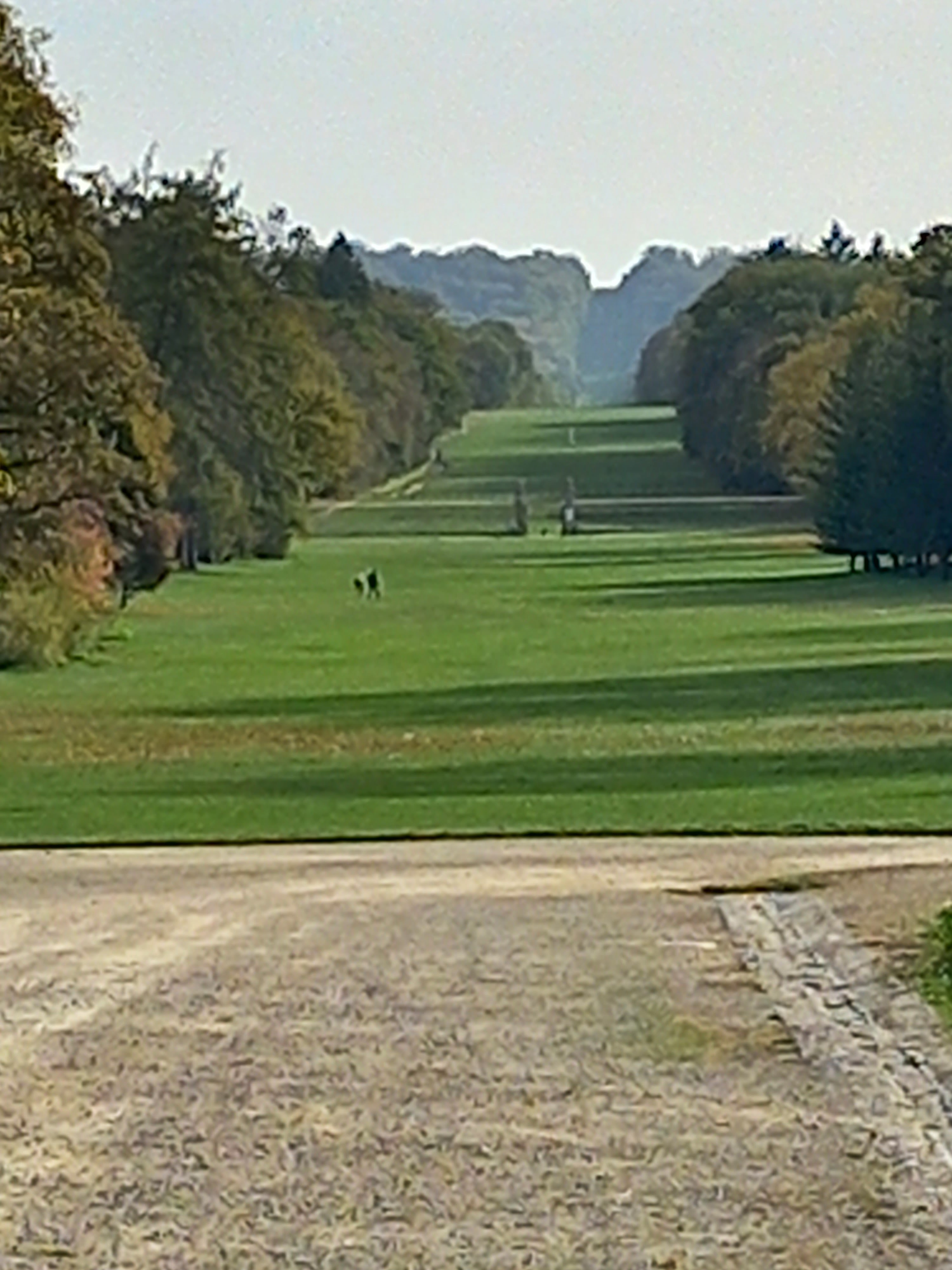 Photo n° 13 de l'avis de Marie.a fait le 29/10/2022 à 17:54