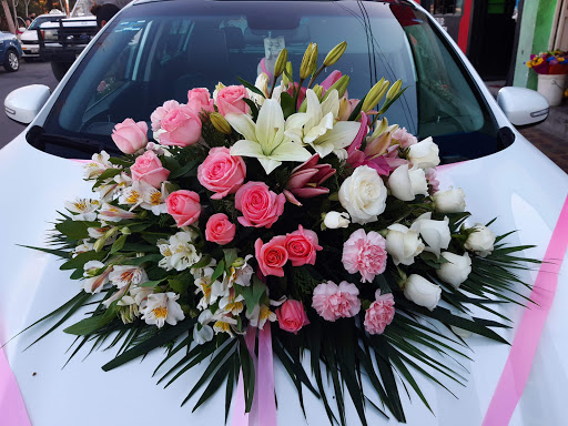 La Gardenia – Ramos Arizpe