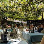 Photo n°2 de l'avis de Frank.h fait le 10/08/2023 à 15:33 sur le  Pizzeria, Bar, Trattoria, All'Ancora à Lazise