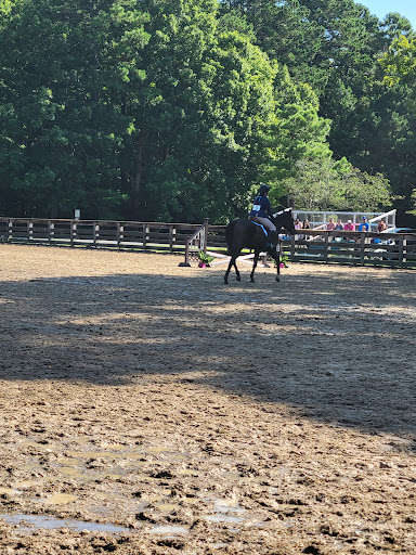 Horse riding field Hampton