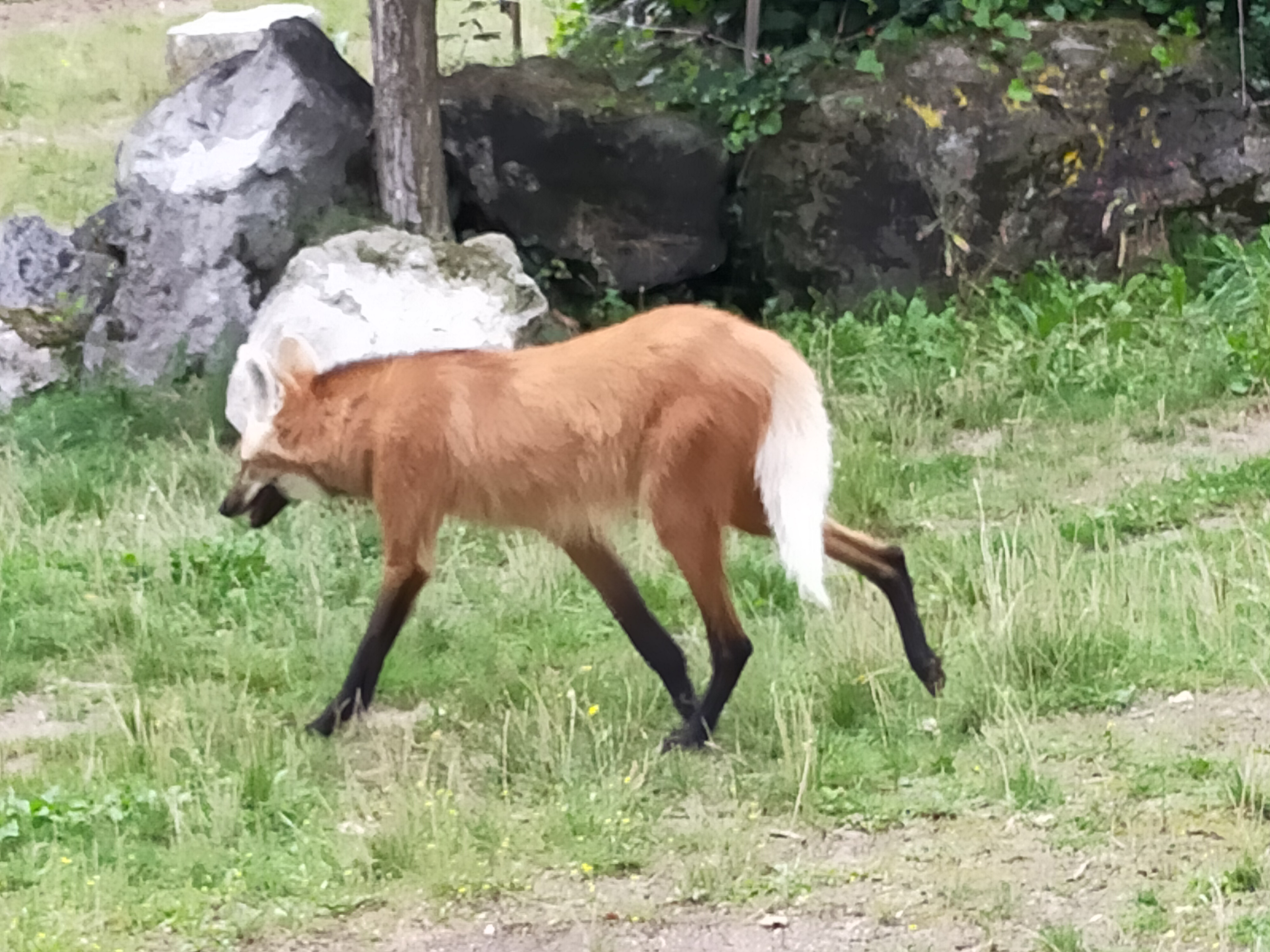 Photo n° 4 de l'avis de fab&sar. fait le 25/08/2023 à 20:09