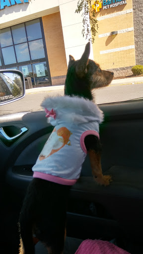 Pet Supply Store «PetSmart», reviews and photos, 139 Radio Dr, Stroudsburg, PA 18360, USA