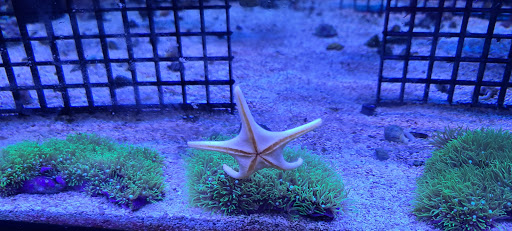 Tropical Fish Store «The Premium Aquarium», reviews and photos, 1875 25th St SE, Salem, OR 97302, USA