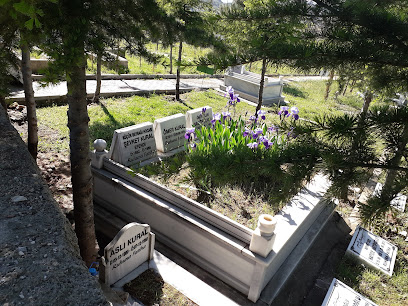 Şeyhi Şirvani Mezarlığı Mezarligi