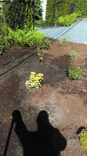 Park «Clyde Beach Park», reviews and photos, 2 92nd Ave NE, Bellevue, WA 98004, USA