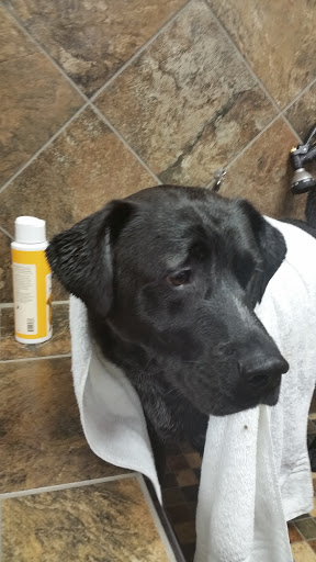 Pet Store «Pet Valu», reviews and photos, 1220 Hamburg Turnpike, Wayne, NJ 07470, USA