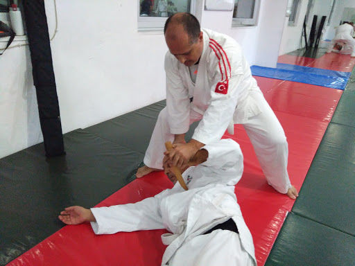 Lara Aikido Okulu