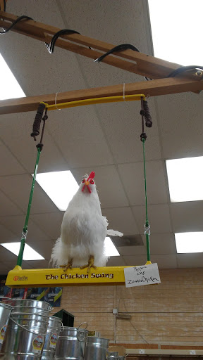 Pet Supply Store «Concord Feed Pet & Livestock Supplies», reviews and photos, 228 Hookston Rd, Pleasant Hill, CA 94523, USA