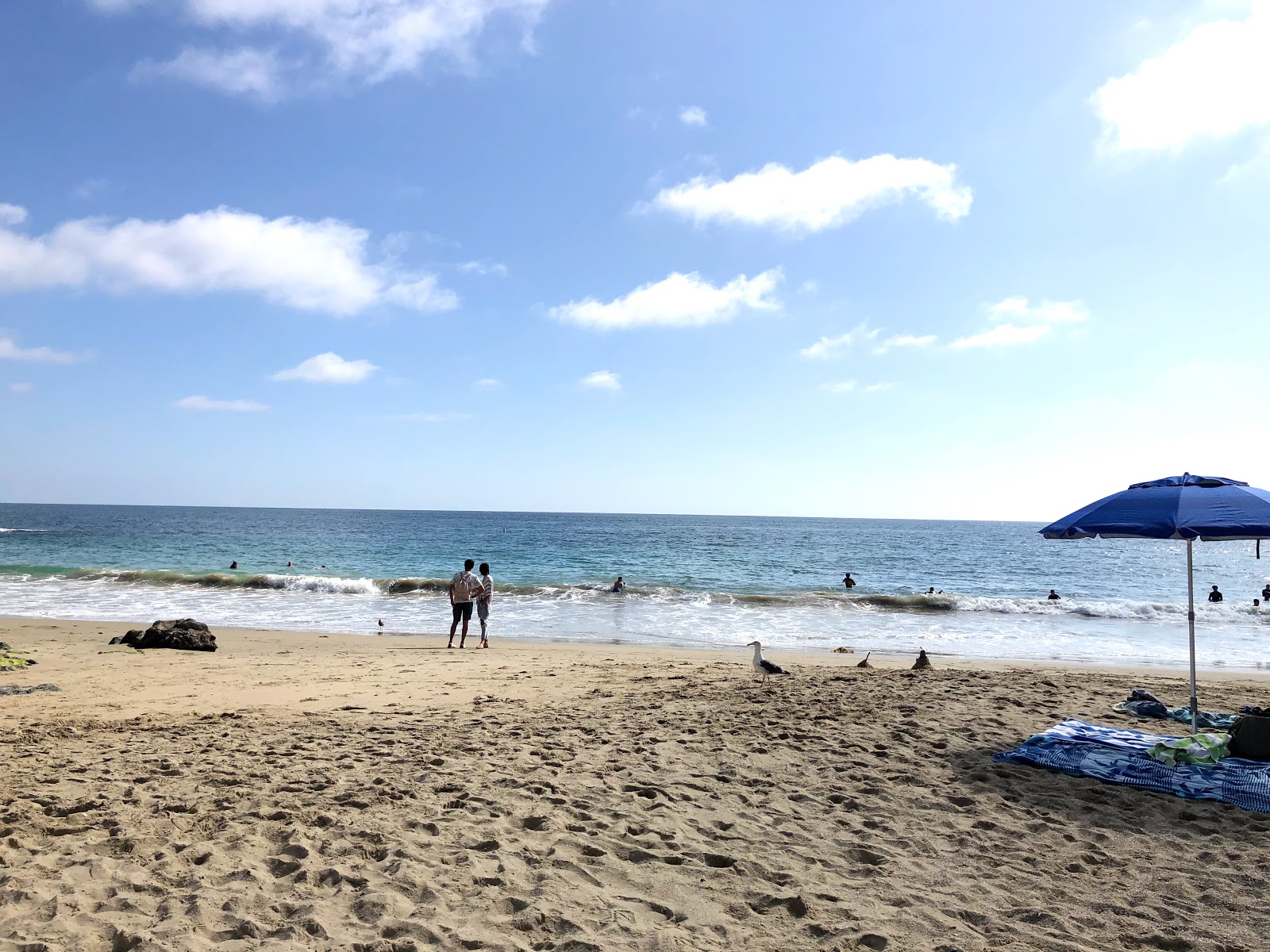 Photo of Shaws Cove with very clean level of cleanliness