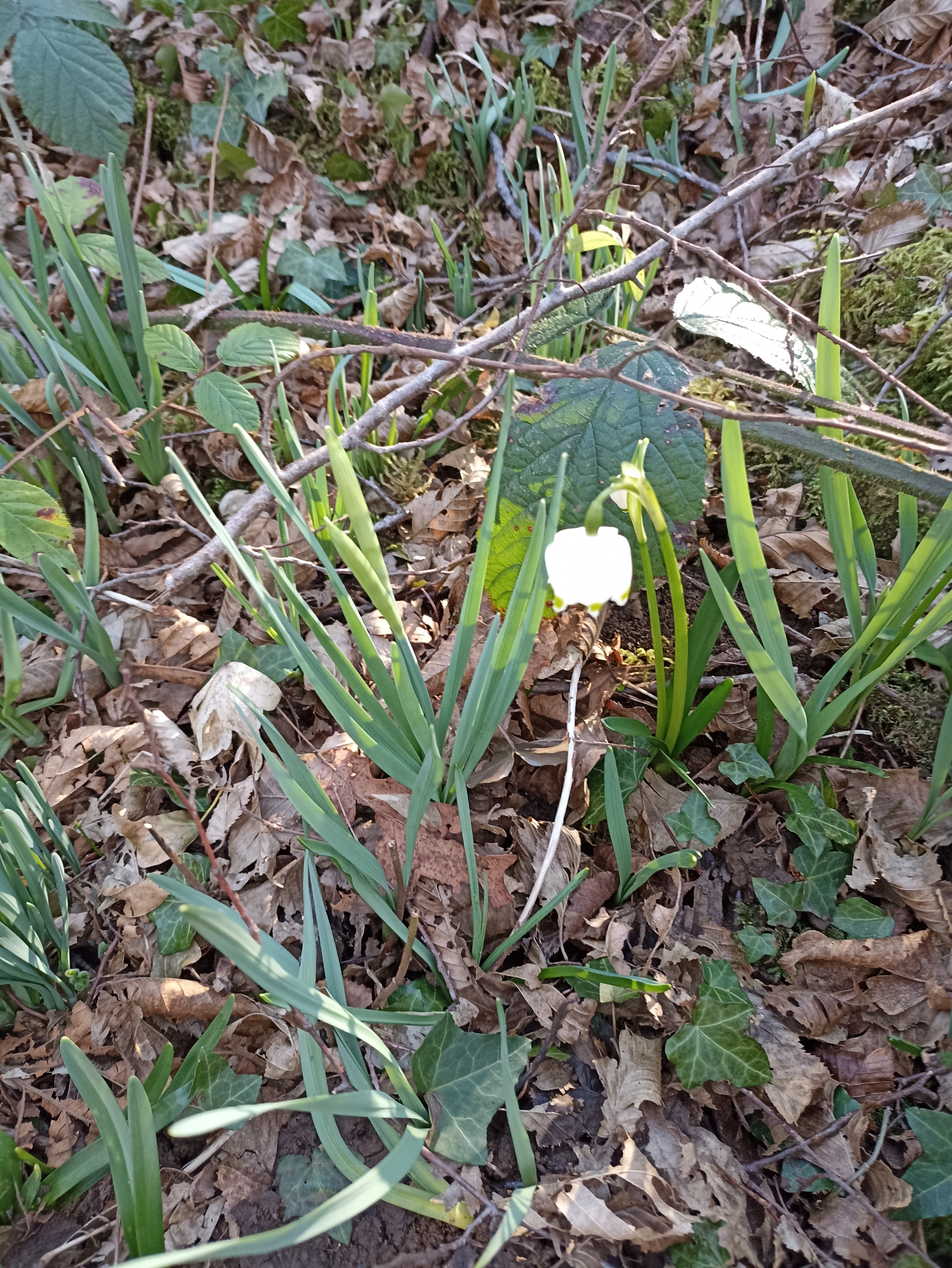 Photo n° 1 de l'avis de Marieange.A fait le 01/03/2022 à 17:32