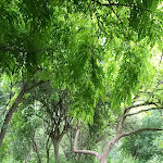 Photo n°3 de l'avis de Lucio.e fait le 03/06/2022 à 10:42 sur le  Mi & Ti Lounge Bar à La Bella-Ligonto