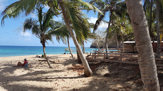 Beach N'Gouja