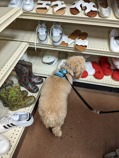 Thrift Store «Goodwill - Rock Hill», reviews and photos