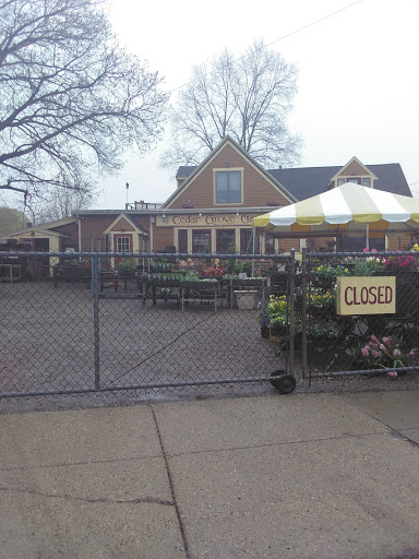 Florist «Cedar Grove Gardens», reviews and photos, 911 Adams St, Dorchester Center, MA 02124, USA
