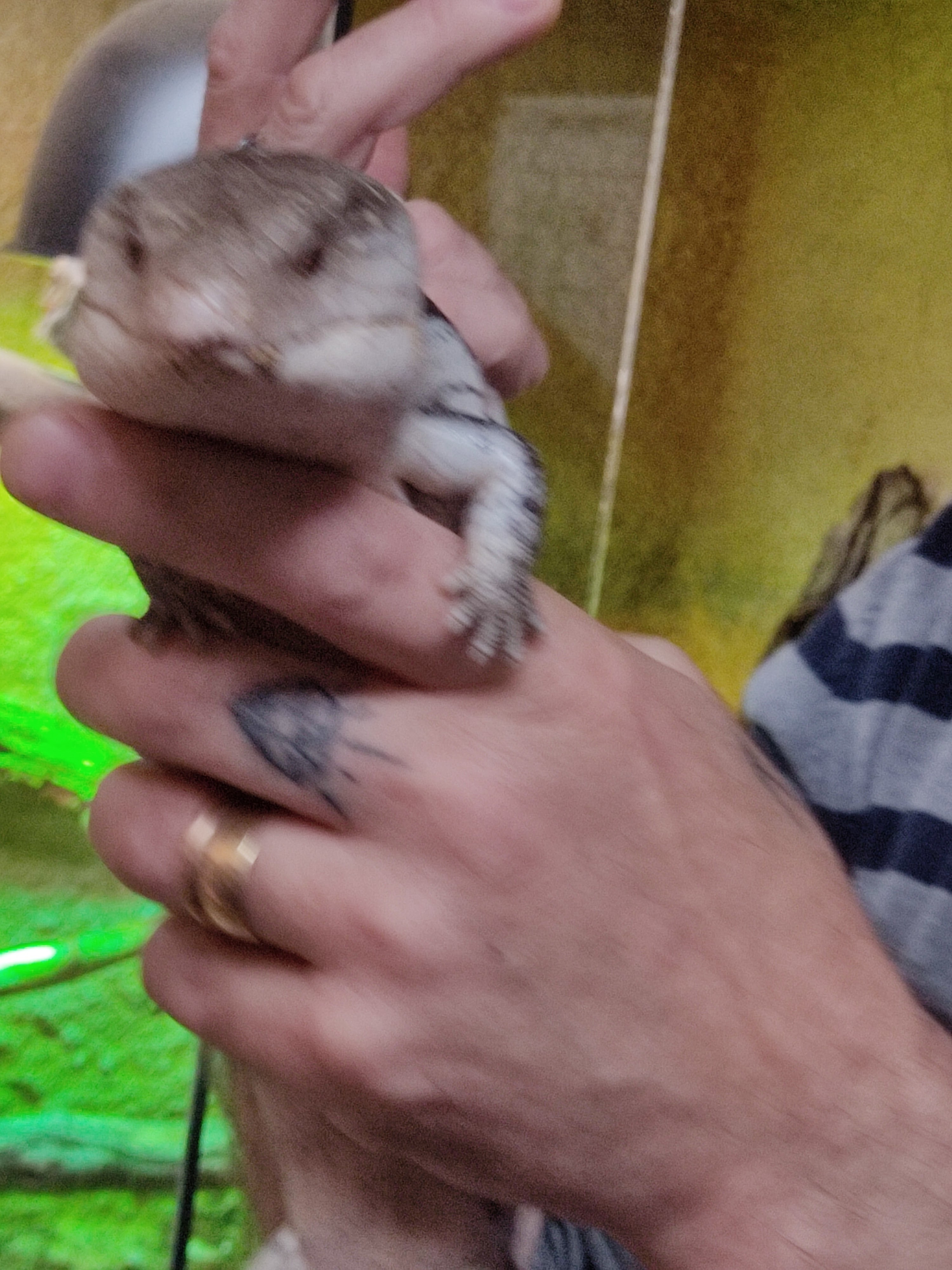 Photo n° 3 de l'avis de Florence.e fait le 01/05/2023 à 10:41