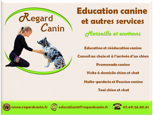 REGARD CANIN – Éducation canine à domicile sur Marseille et environs