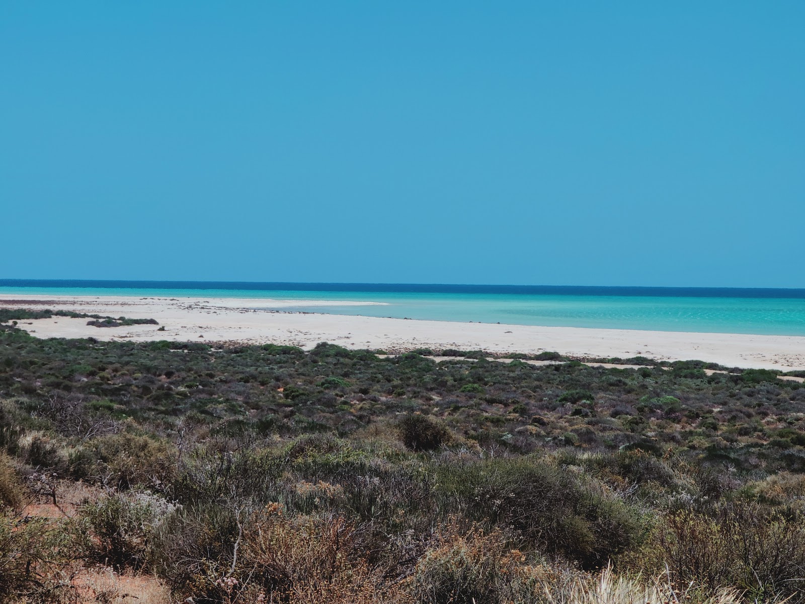 Shell Beach photo #7