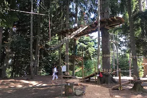 Adrenatur - Fun Forest image