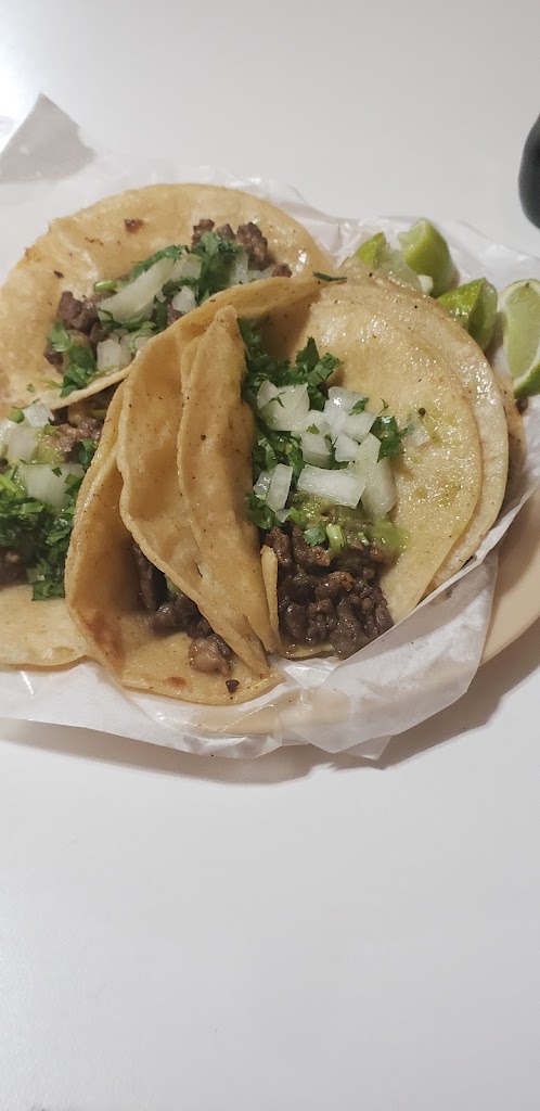 El Rey Del Trompo 72830