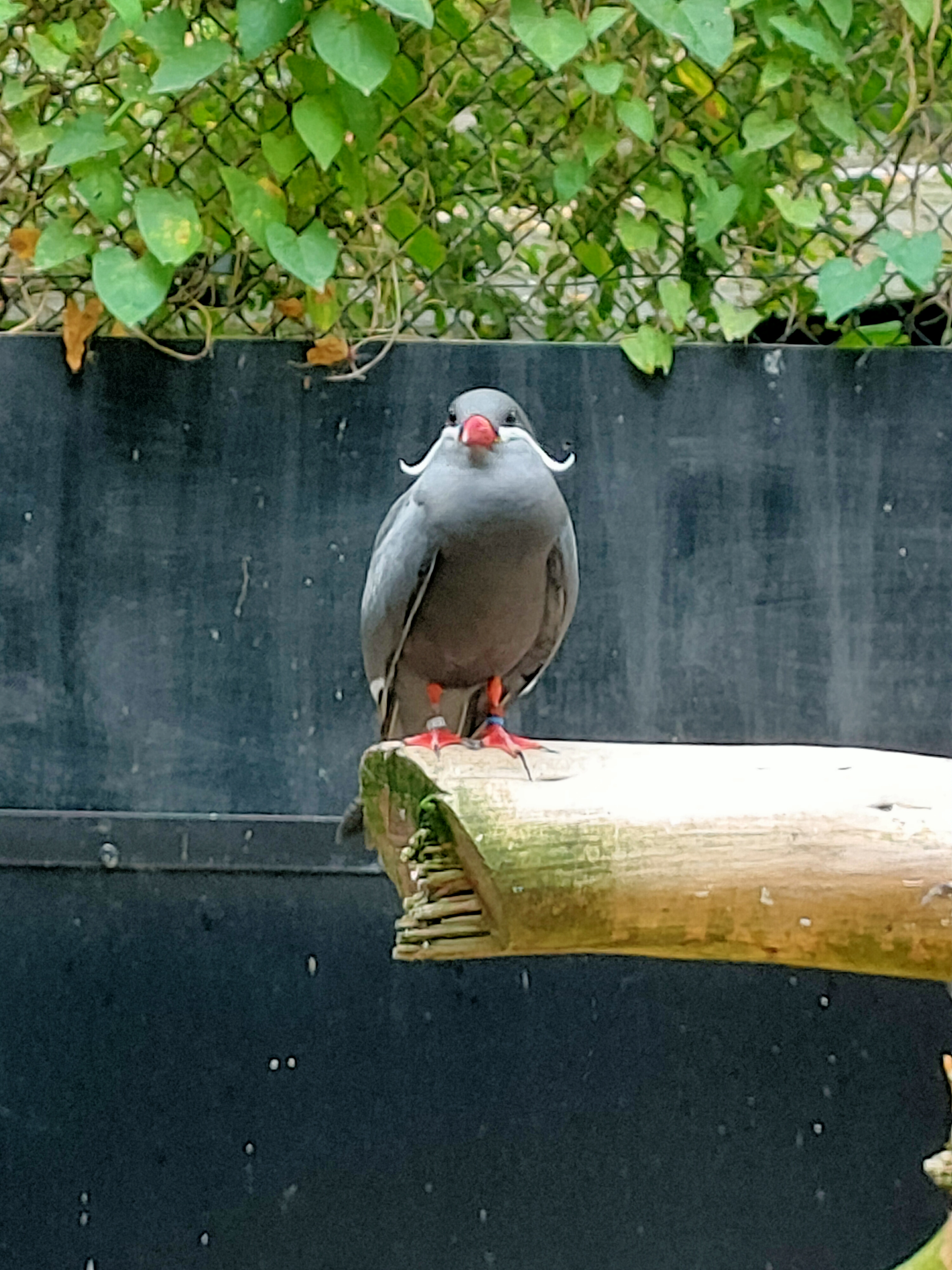 Photo n° 2 de l'avis de sensuella80. fait le 25/08/2022 à 14:17