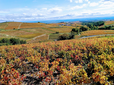 SCEA du Domaine Le Mas des Gauthiers à Villié-Morgon