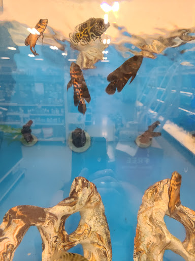 Pet Supply Store «PetSmart», reviews and photos, 7340 W 191st St, Tinley Park, IL 60487, USA