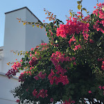 Photo n°12 de l'avis de Angela.h fait le 13/10/2018 à 22:03 sur le  Hotel Pedraladda à Castelsardo