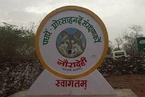 Virangana Durgavati Tiger Reserve image