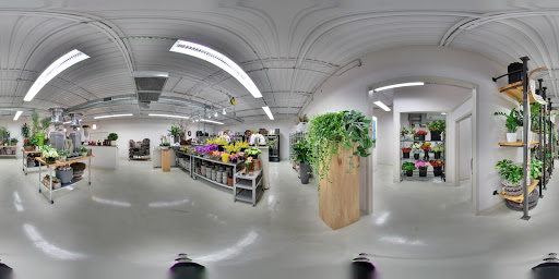 Florist «King florist of Austin», reviews and photos, 1806 W Koenig Ln, Austin, TX 78756, USA