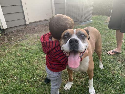 Crepe Myrtle Animal Hospital image