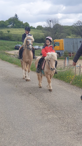 HARAS DES TEMPLIERS 46/CENTRE EQUESTRE à Maxou