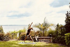 The Grove - Outdoor Hot Pilates and Yoga image