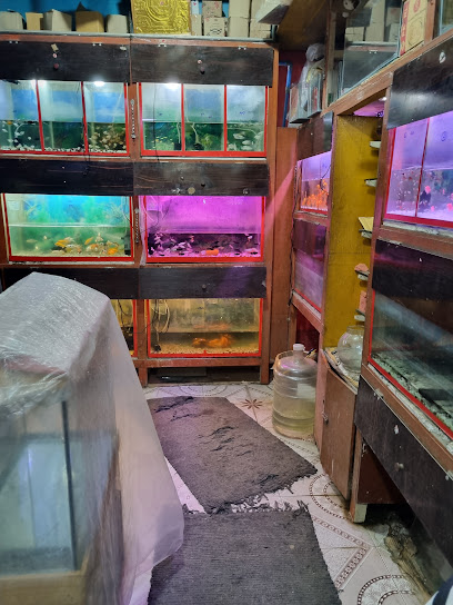 OMR Fish World - Aquarium in Chennai , India