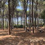 Photo n°3 de l'avis de Emil.a fait le 17/07/2023 à 13:18 sur le  I Mille Bar Paninoteca à La Maddalena