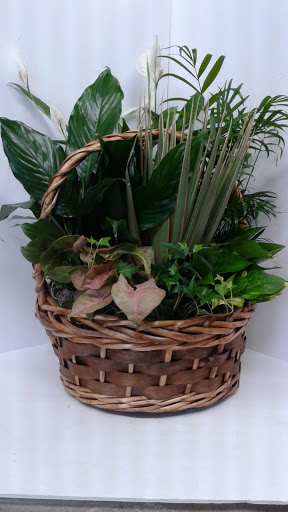 Florist «Eagledale Florist», reviews and photos, 3615 W 30th St, Indianapolis, IN 46222, USA