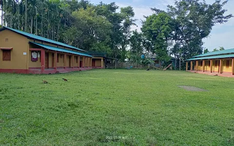 Bijaynagar Tea Estate image