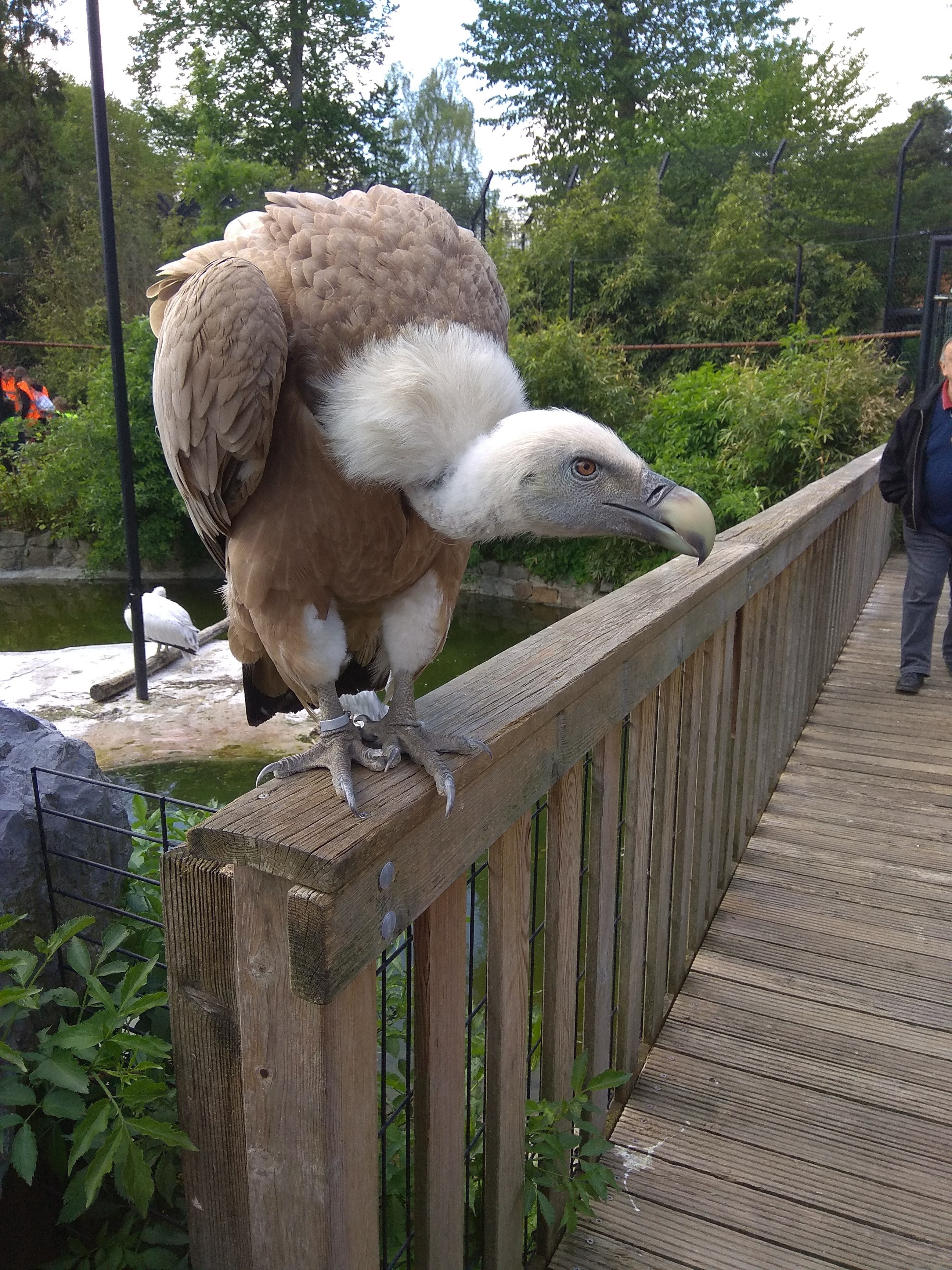 Photo n° 7 de l'avis de louloute.a fait le 05/07/2018 à 09:16