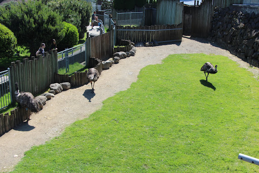 Zoo «Cougar Mountain Zoo», reviews and photos, 19525 SE 54th St, Issaquah, WA 98027, USA