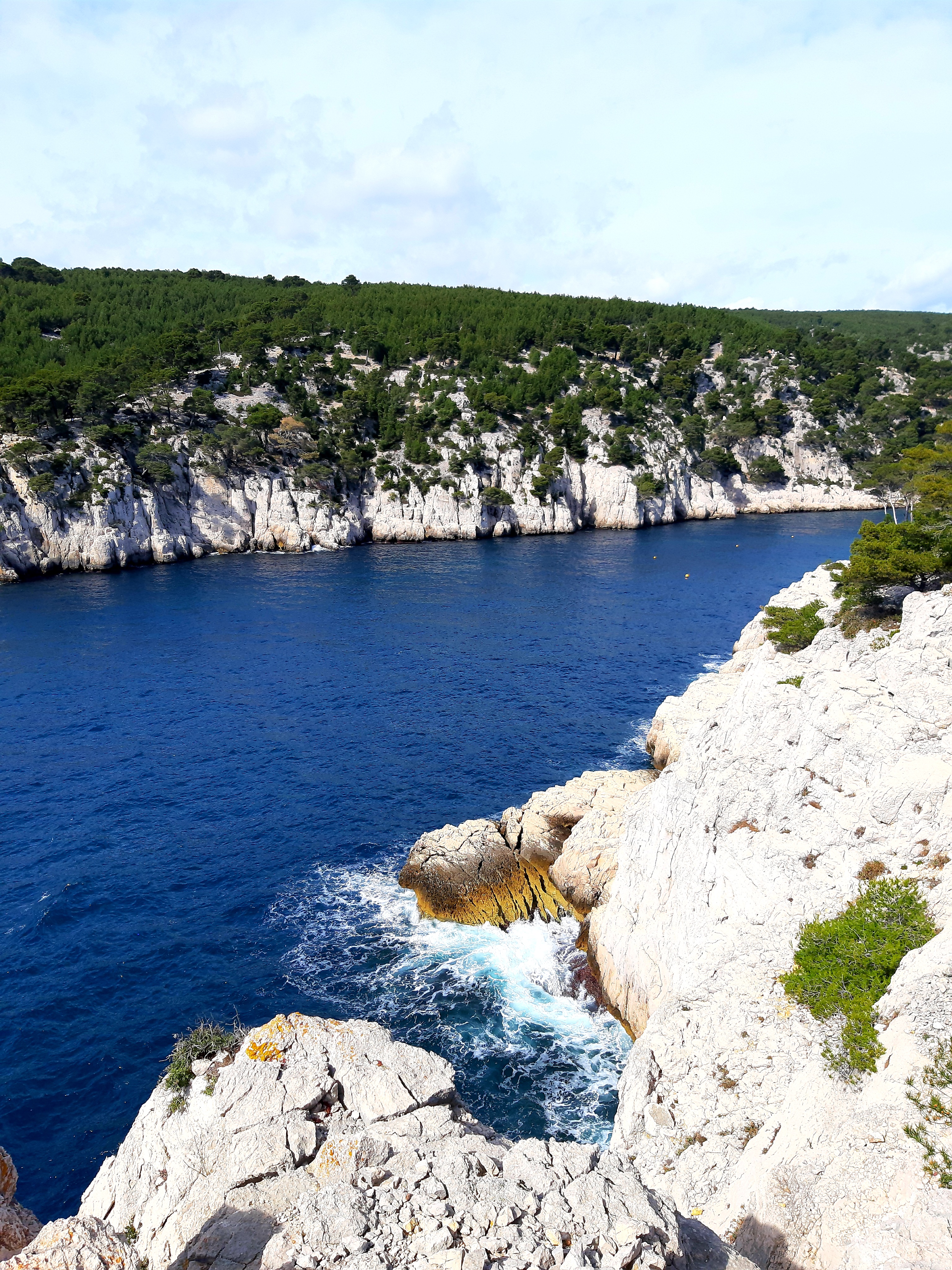 Photo n° 29 de l'avis de Islas.a fait le 27/03/2021 à 17:41